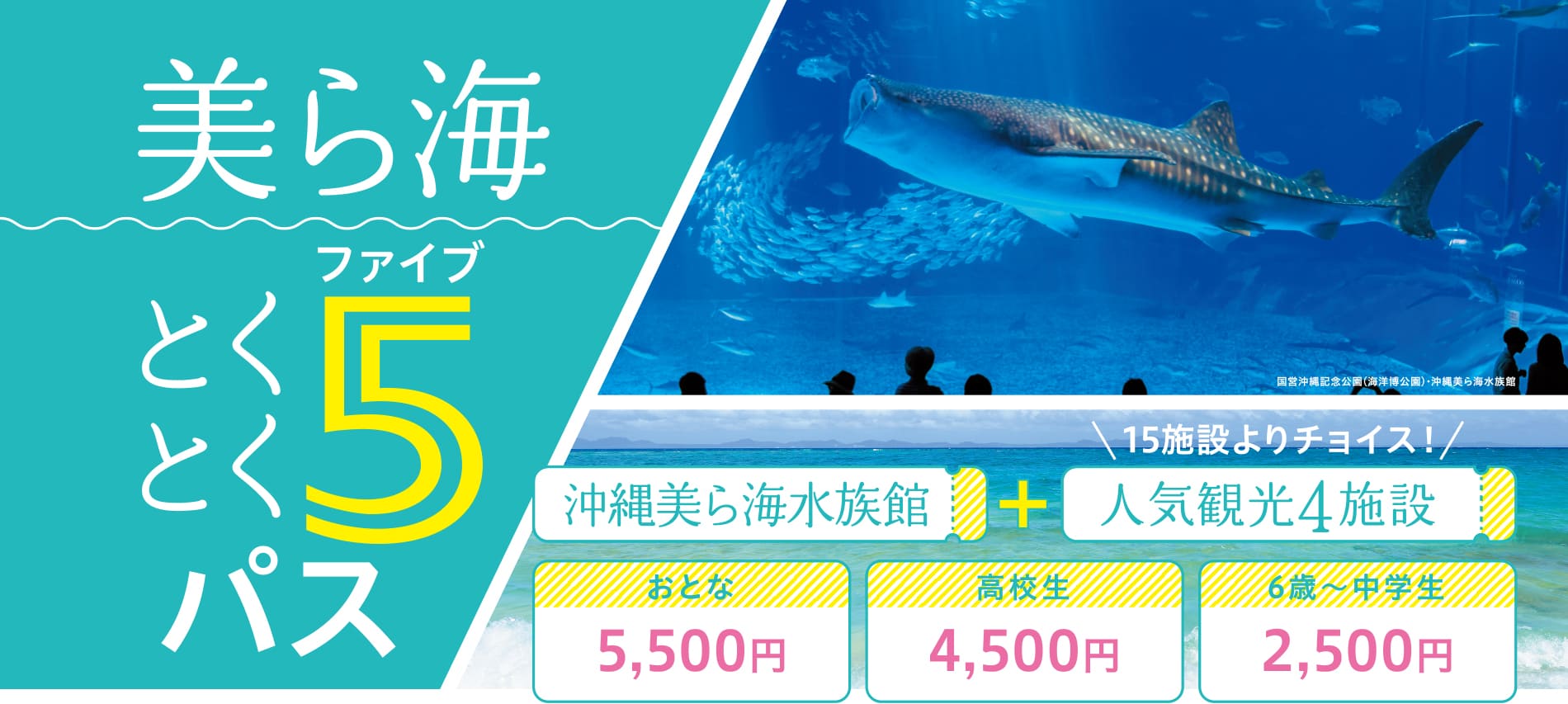 美ら海とくとく5パス