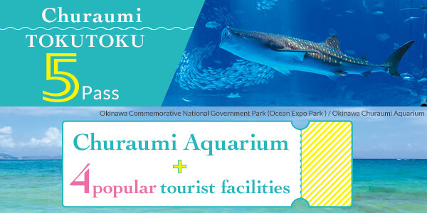 churaumi TOKUTOKU5 Pass