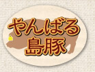 やんばる島豚