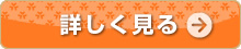 詳しく見る