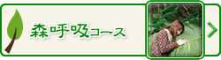 森呼吸コース