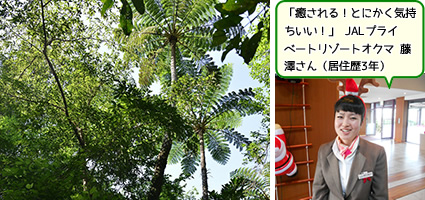 国頭村森林公園
