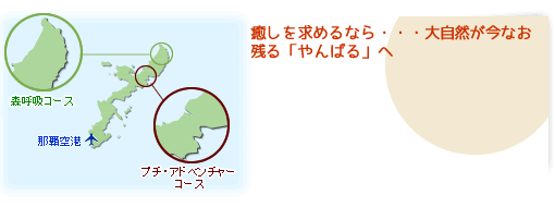 エリアマップ