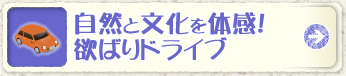 自然と文化を体験！欲ばりドライブ