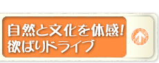 自然と文化を体験！欲ばりドライブ