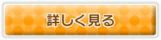 詳しく見る