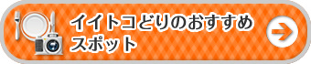 イイトコどりのおすすめスポット