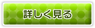 詳しく見る