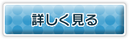 詳しく見る
