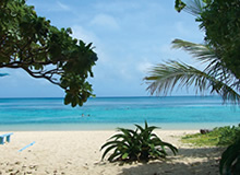 新城海岸