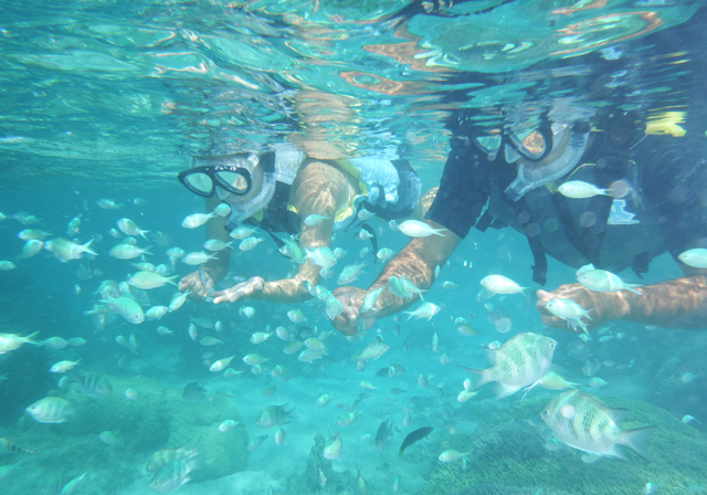 恩納海浜公園ナビービーチ