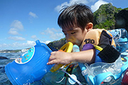 子どもと一緒にお魚ウォッチング