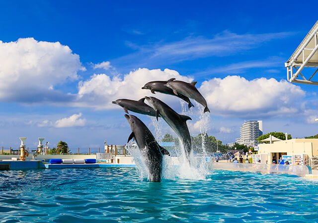 海洋博公園・オキちゃん劇場
