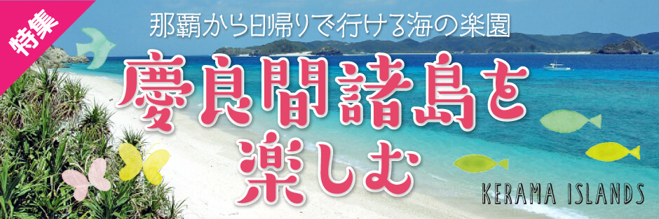 那覇から日帰りで行ける海の楽園・慶良間諸島を楽しむ