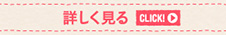 詳しく見る