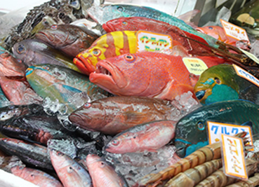 第一牧志公設市場内の鮮魚