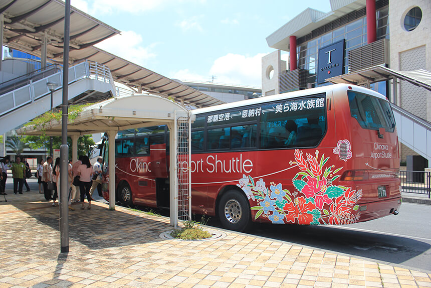 沖縄エアポートシャトル で沖縄美ら海水族館へ直行 バス旅の魅力とは リッカドッカ沖縄ナビ