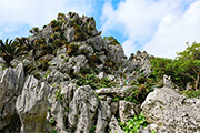大石林山
