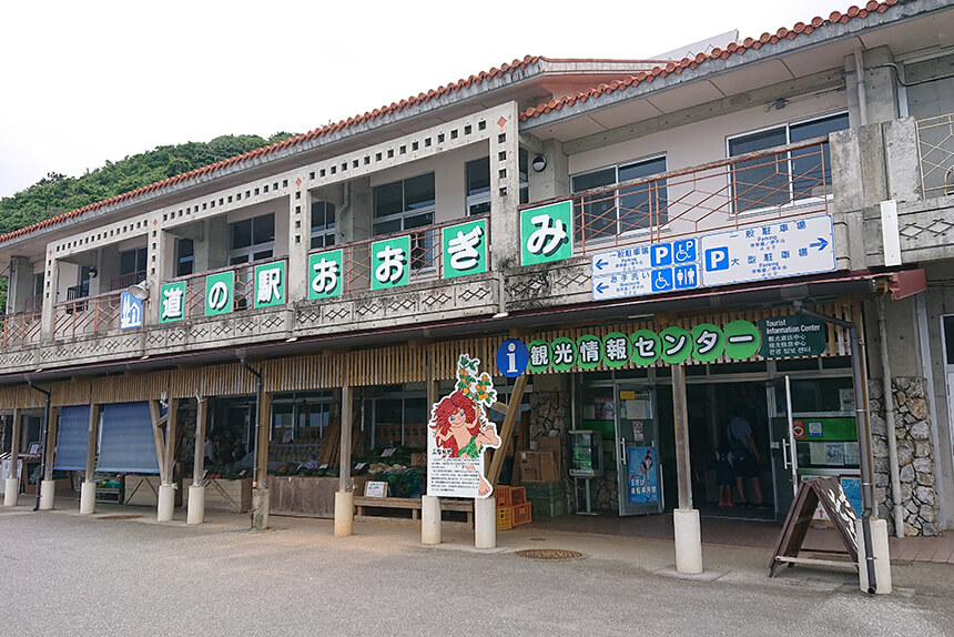 道の駅おおぎみ
