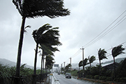台風
