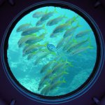 展望塔内 鮮やかに群れ泳ぐ熱帯魚に目を奪われる
