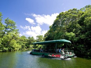 湖水観賞舟 曲がりくねった森の中の湖をゆっくりと進むジャングルクルーズは、自然を身近に感じることができる