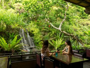 Let the cool sound of the waterfall relax your mind as you savor Okinawan cooking.
