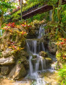 園內不僅可以從空中庭園鳥瞰亞熱帶植物景觀，還可以聽到清涼的瀑布流水聲，沁人心脾
