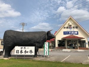 The store is located along Route 58 and big cow and pig figures are landmark