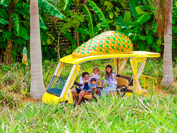 A great adventure through the tropical and subtropical arboretum aboard the self-driving pineapple cart.