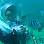 お気軽海中探検「シーウォーク」