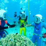 気軽に海中散歩を楽しみませんか。かわいい熱帯魚達が皆様をお出迎えいたします。