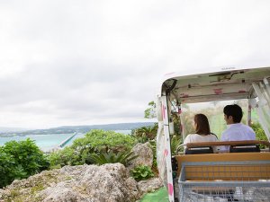 Enjoy the views in the automatic cart on your way to the observation tower.