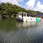 仲間川遊覧ボート  日本最大のマングローブの森、仲間川
