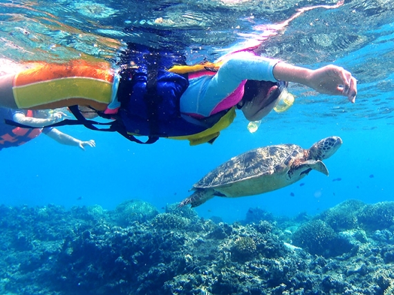 cerulean blue tours okinawa