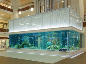  グランドスクエアの巨大水槽　「Rycom Aquarium」