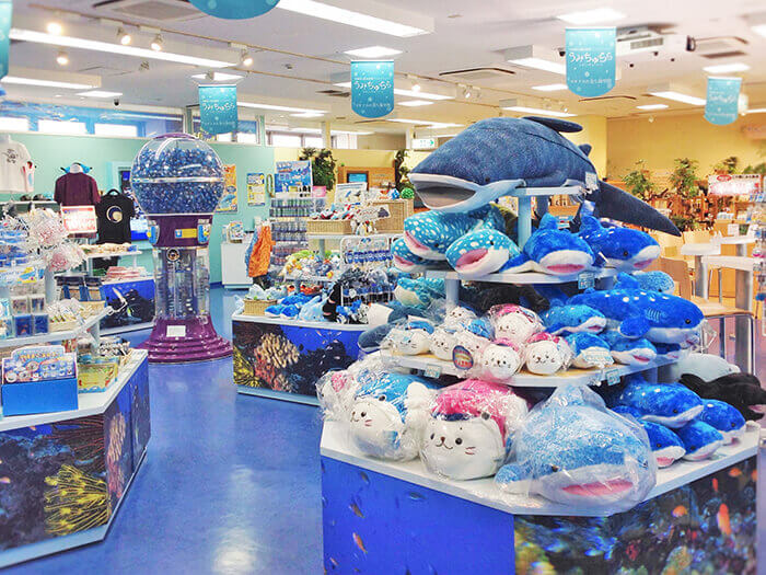 沖縄美ら海水族館限定のお菓子や雑貨、ぬいぐるみが盛りだくさん！ 