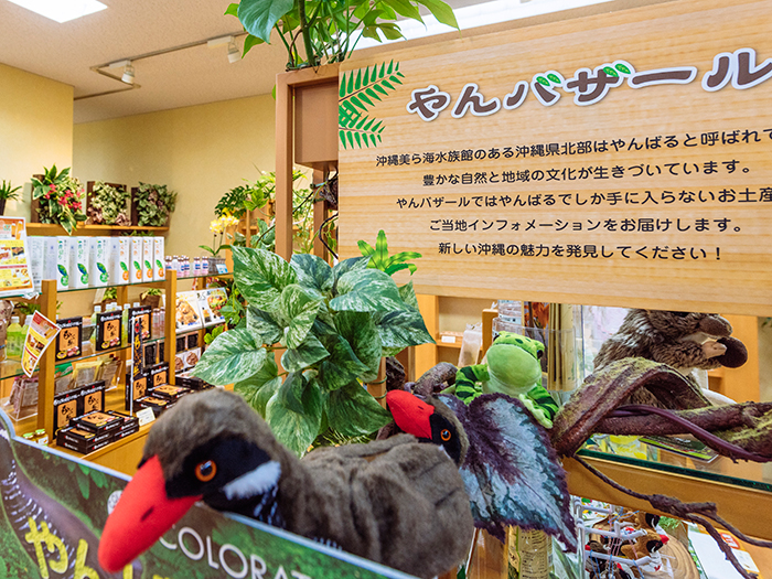 Yanbaru section, where you can find local products from Okinawa's northern area.