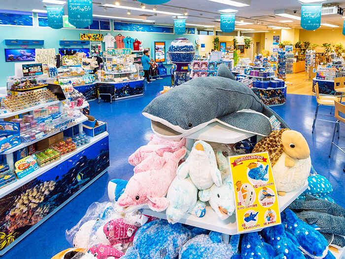 Please stop by our Okinawa Churaumi Aquarium Gift shop on Kokusai street， Naha