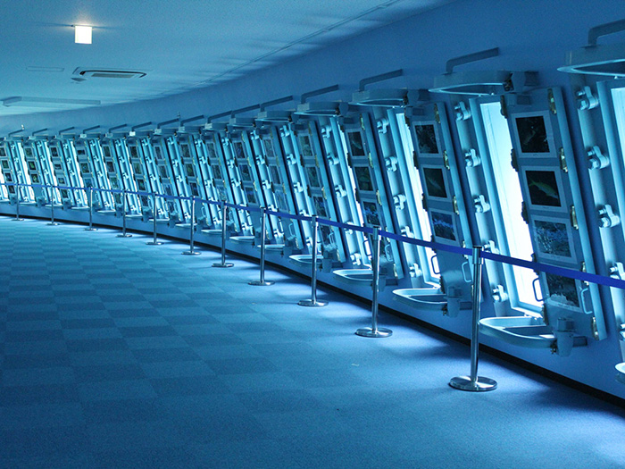 Miyako Island Marine Park