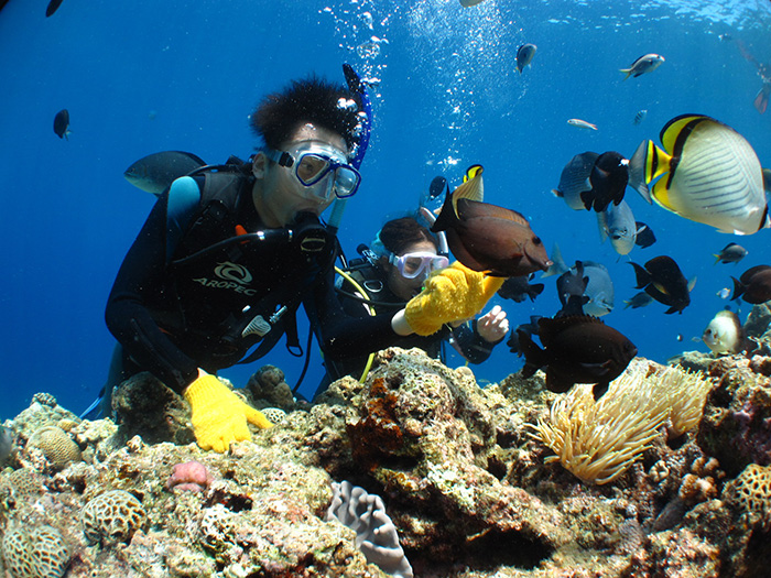 Besides the Blue Grotto， Okinawa， we are happy to arrange underwater experiences for you in other world-class spots.