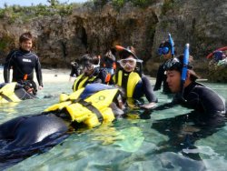 From the proper way of equipping the gears to the body position of snorkeling， we carefully guide every guest in all our tours. Even beginners can enjoy the tour easily.