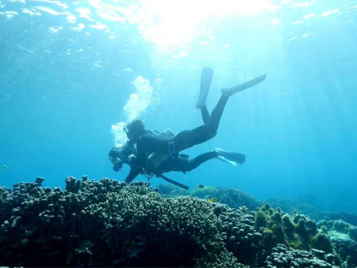 在一對一帶領的｢慢潛｣體驗過程中，即使不會游泳的人也可以近距離欣賞卡雅法海岸的美麗珊瑚礁。