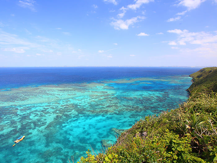 碧賈斯珊瑚礁的俯看圖，運氣好的時候有機會與海龜邂逅喔！