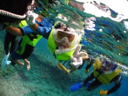 Children 5 years and older take part. Your whole family can have fantastic fun snorkeling.