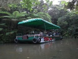 The boat ride is a subtropical jungle cruise( 25 minutes ) 