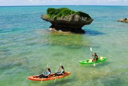 Provides tours using sea kayaks