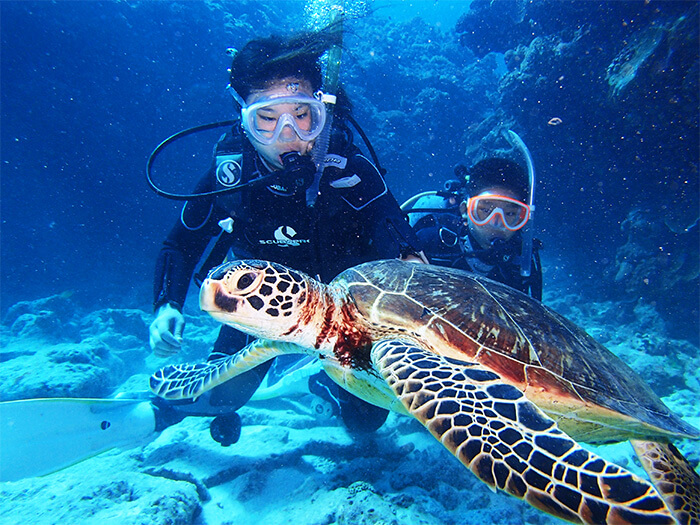 Sesoko Beach Marine Club