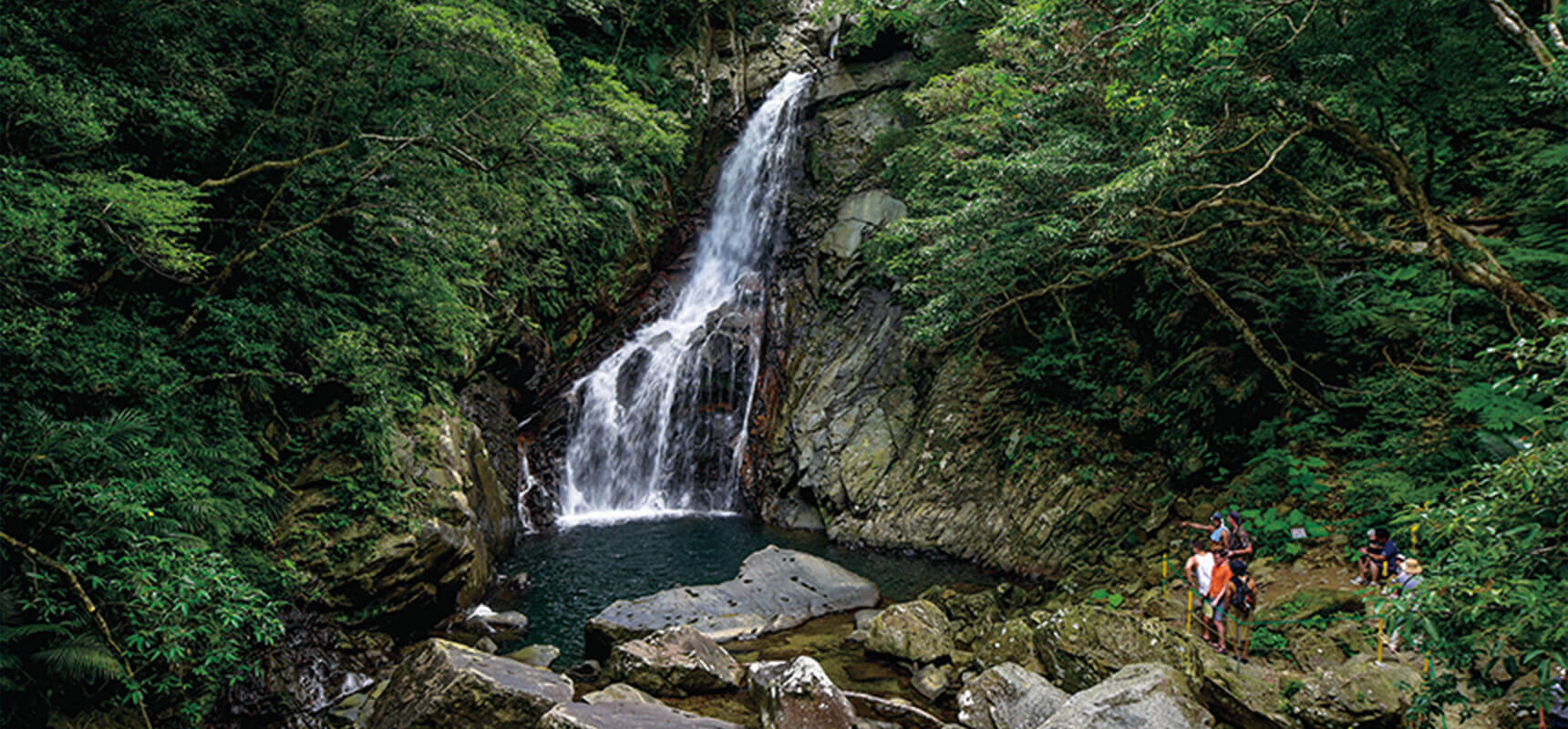 Immerse yourself in a subtropical natural setting! Hiking in Okinawa is a truly unique experience.