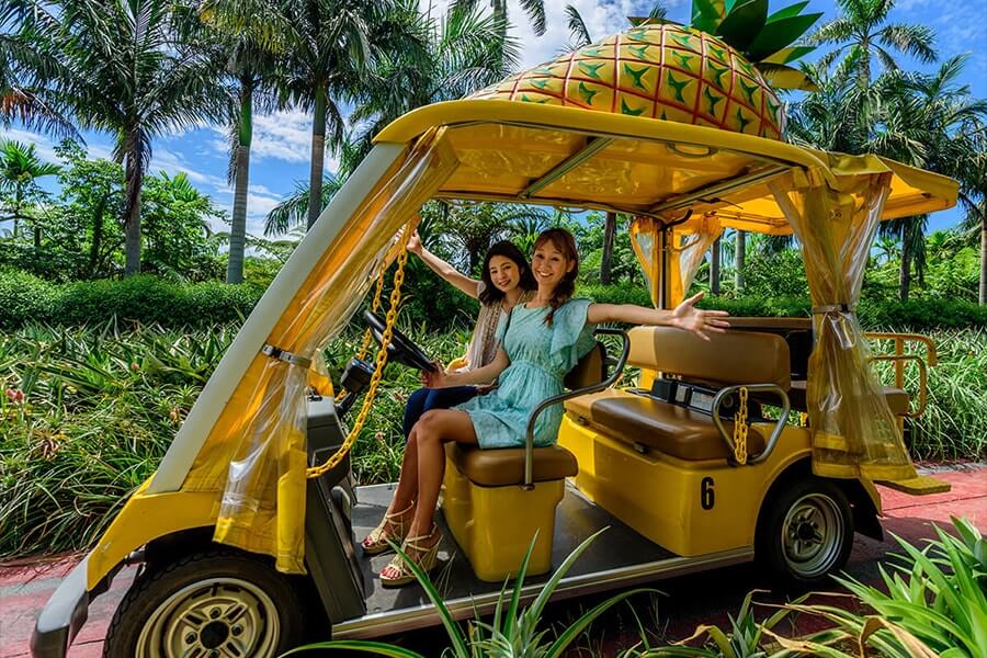 Nago Pineapple Park